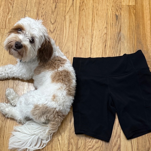 Athleta Black Women's Athletic Stash Shorts - Picture 1 of 1